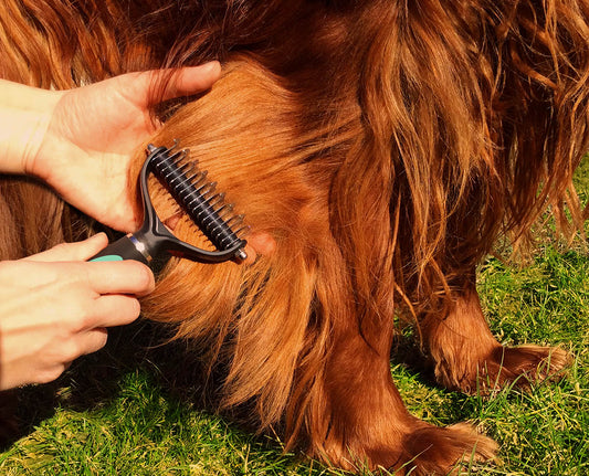 Using the RUBOLD dematting tool