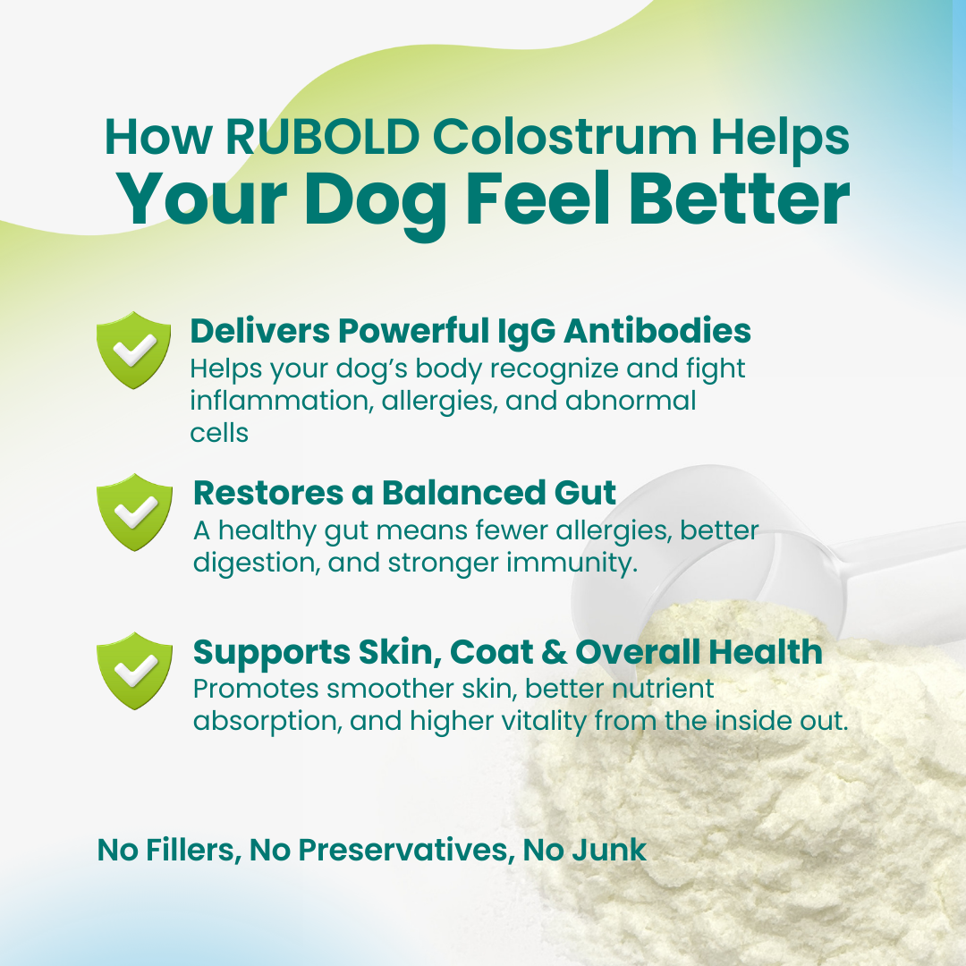 RUBOLD Pure Colostrum Powder for Dogs - RUBOLD
