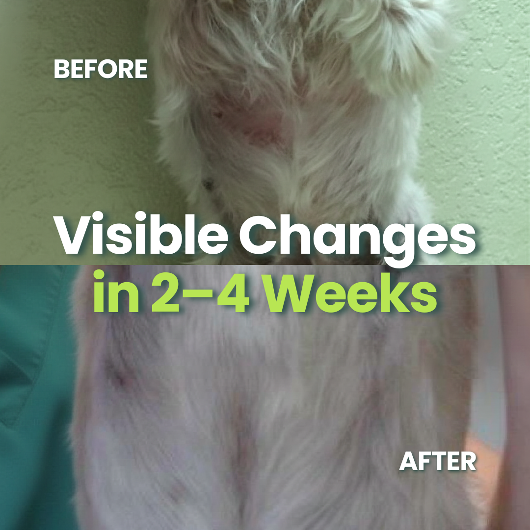 RUBOLD Pure Colostrum Powder for Dogs - RUBOLD