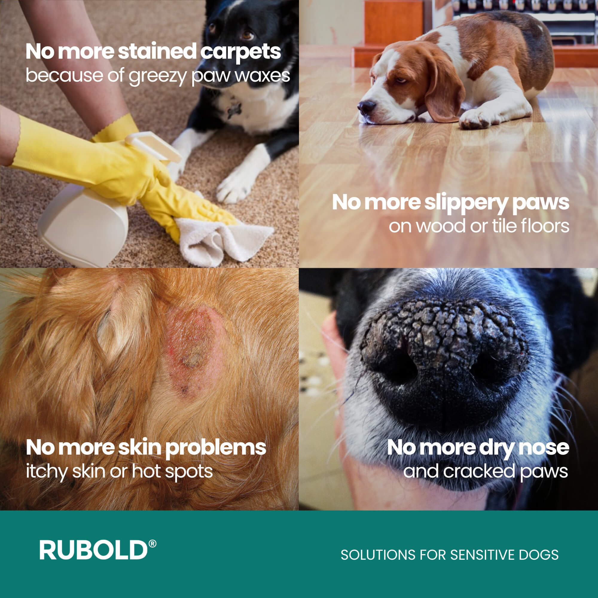 Natural Skin+ Nose and Dog Paw Balm - RUBOLD Dog Products for Pet Parents