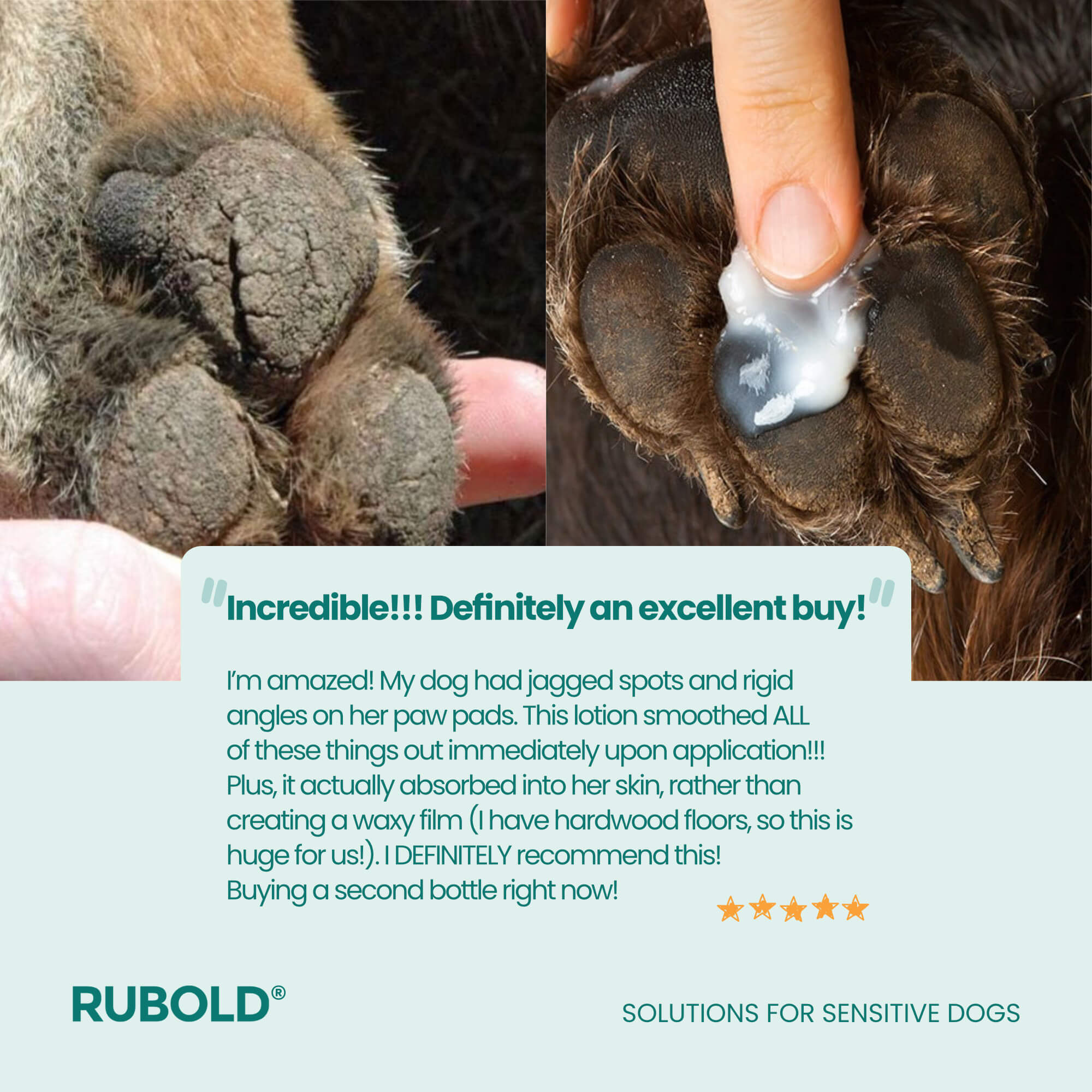Natural Skin+ Nose and Dog Paw Balm - RUBOLD Dog Products for Pet Parents